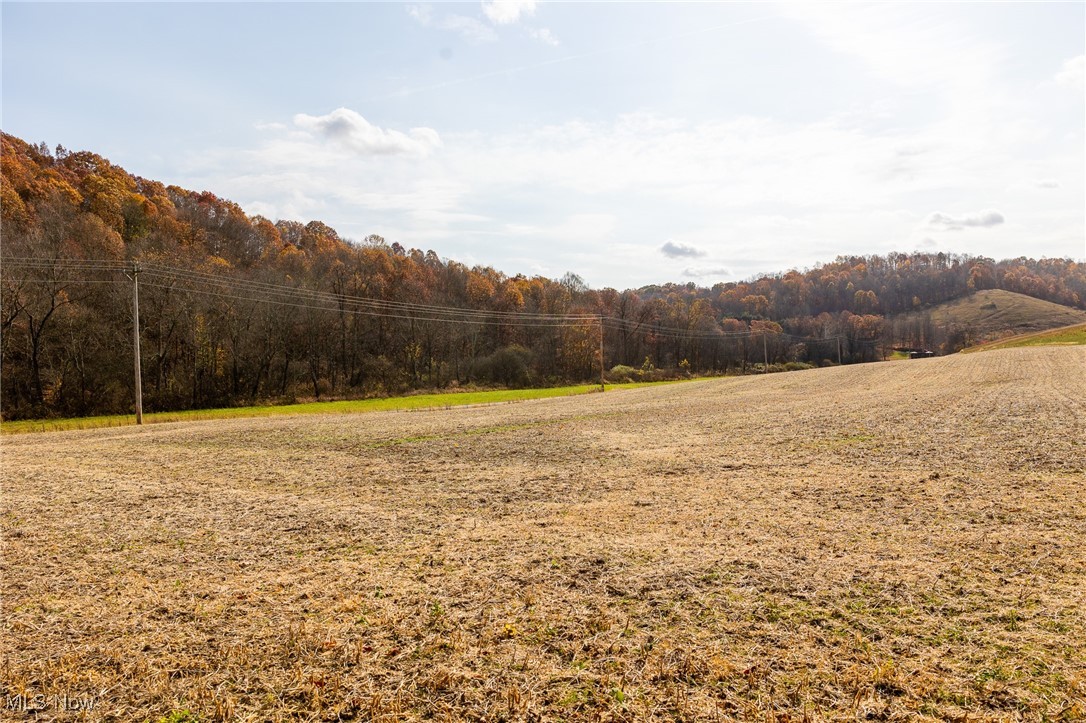 17110 Kedigh Hollow Road, Newcomerstown, Ohio image 1