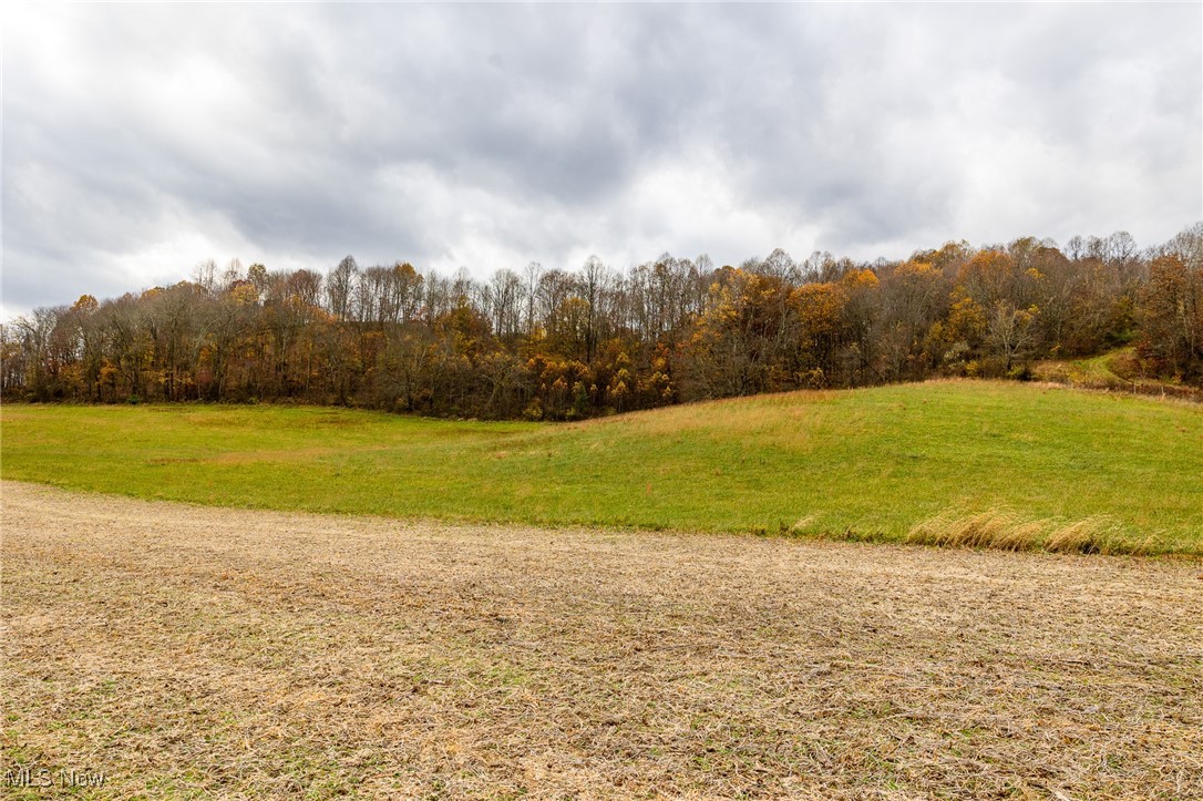 17110 Kedigh Hollow Road, Newcomerstown, Ohio image 5