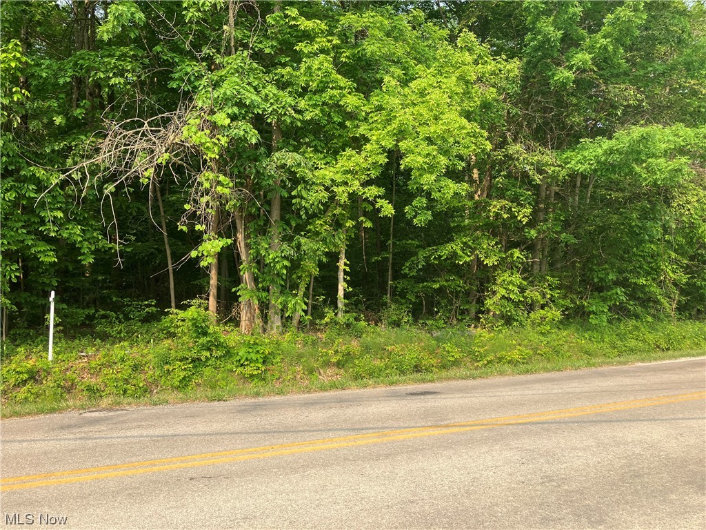 Roaming Shores - Land