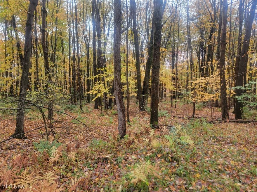 Secluded double lot in a quiet area. Property is adjacent to state game lands and boat dock.