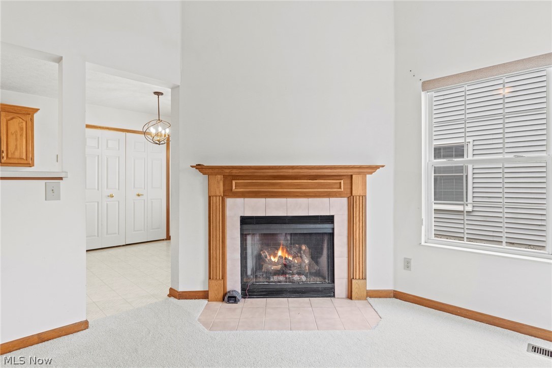 Cinnamon Woods Condo - Residential