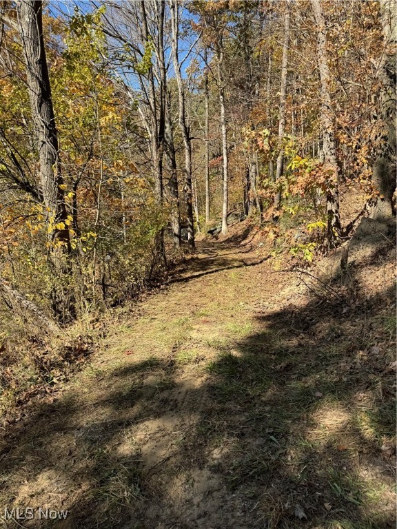 3521 Township Rd 36, Glenmont, Ohio image 9