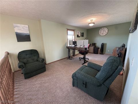 Tiny photo for 67174 Pancoast Road, Belmont, OH 43718 (MLS # 5188476)