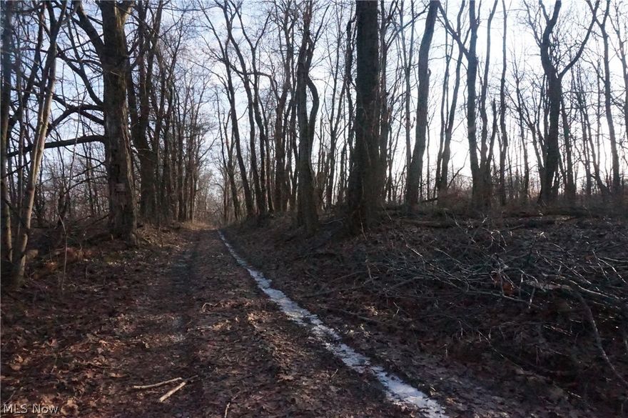 68 acres of prime hunting land near Killbuck, Ohio.  This land is mostly wooded with a ridge top that slopes on the the eastern and western boundary.  Good mixture of woods and thicket that make it great habitat for wildlife.  A couple of food plots are sprinkled throughout the thicket.  Trails make it easy to walk and ride your atvs.  The property also boasts a couple water sources.  15 minutes from Millersburg.