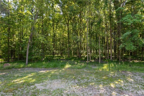 Tiny photo for 1075 River Road, Lake Milton, OH 44429 (MLS # 5239517)