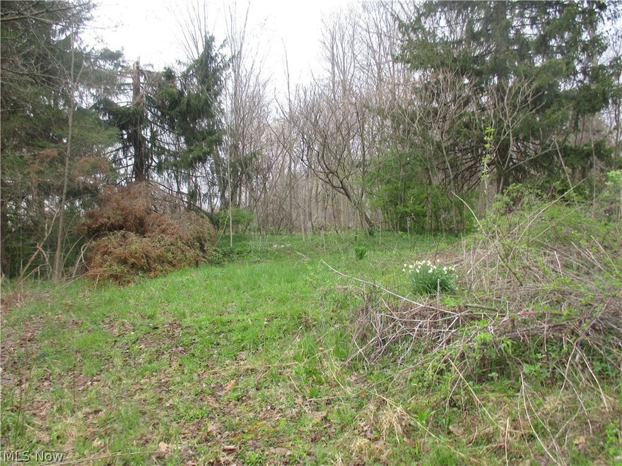 WOW! 0.800 acre lot located in Mantua Village. Public sewer and public water are available. Lot is zoned residential or commercial. Buyers see listing agent or your Realtor for the zoning rules. Lot is mostly clear with a few trees. There is a unpaved driveway that provides access to the lot. FYI there is a pine tree down across the driveway and will not be removed. Convenient location to shopping, restaurants, & Routes 44, 82, 303. Buyer is responsible for property information contained herein and property suitability for buyer intended purpose.