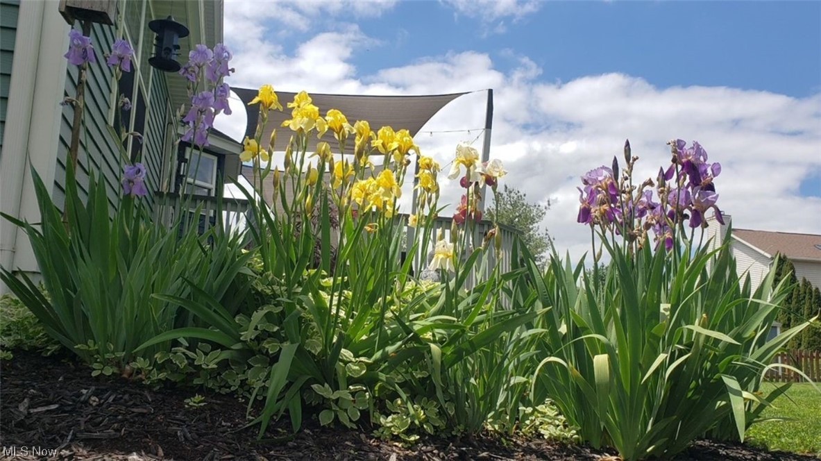 Fieldstone - Residential