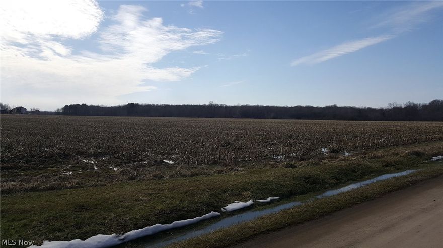 Two beautiful lots that features frontage on both Mechanicsville and Idlewood. One lot has just under 12 acres and the other is just over 25 1/2 acres. Austinburg and Harpersfield Twp. Over 10 acres already cleared.
