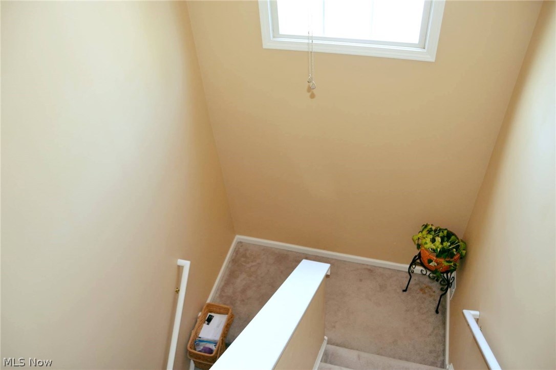 Cleveland Allotment - Residential