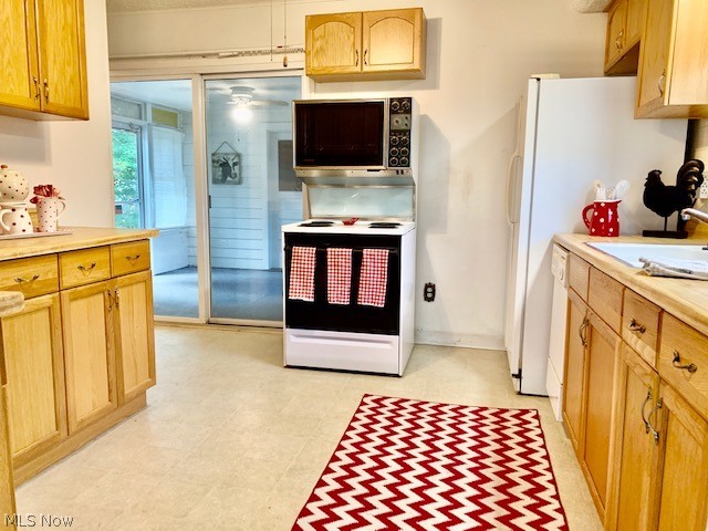 Tallmadge Park - Residential