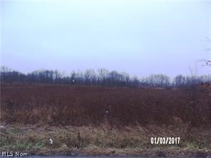 This land provides country living with beautiful views and privacy. Would make a great development, part of a larger parcel with 111 acres with gas and water at street. Tillable soil. Some woods and some clearing. Horses welcome! Water feature makes for great recreational land too. Lots of possibilities here!