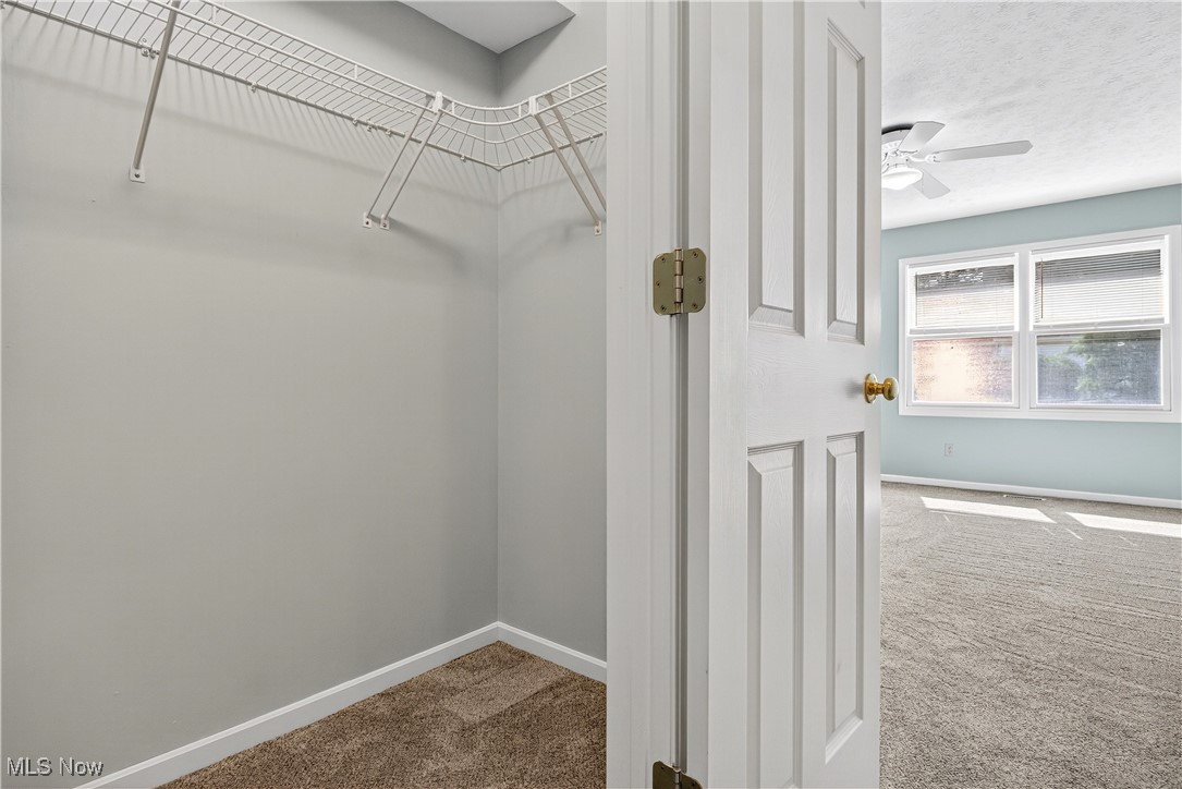 Swan Lake - Residential