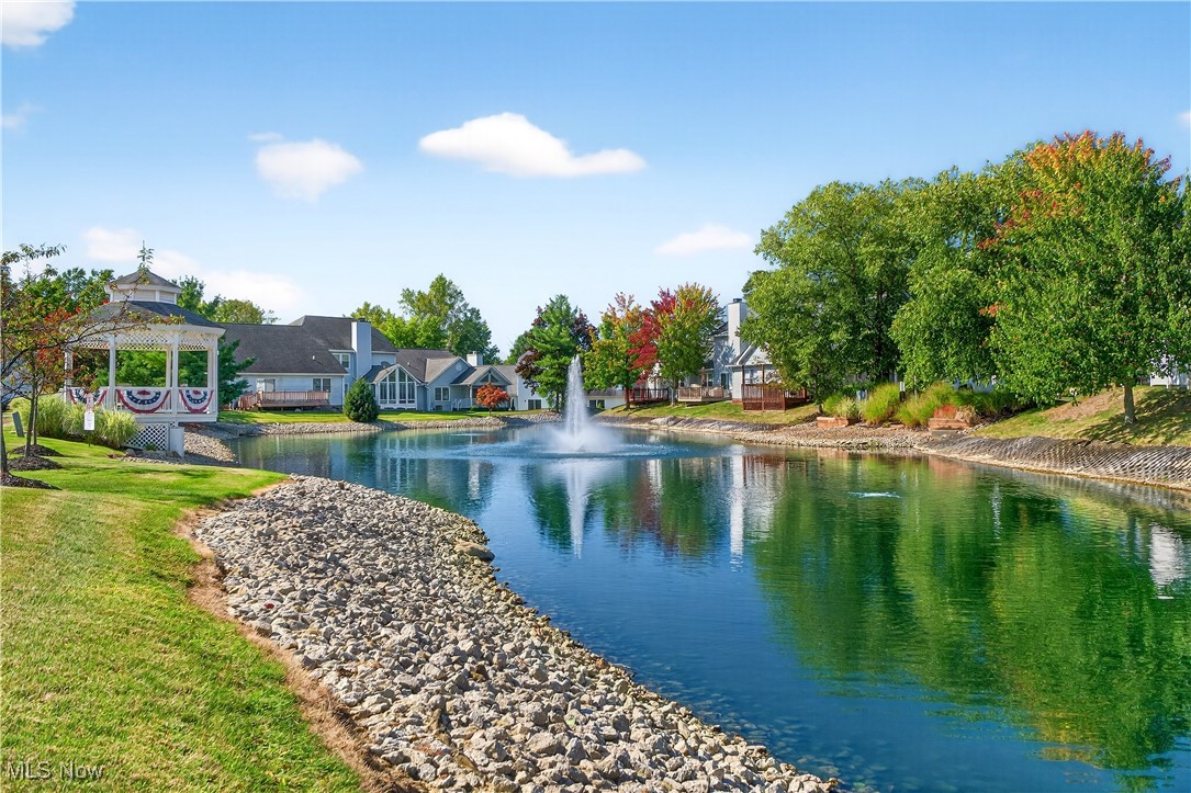 Swan Lake - Residential