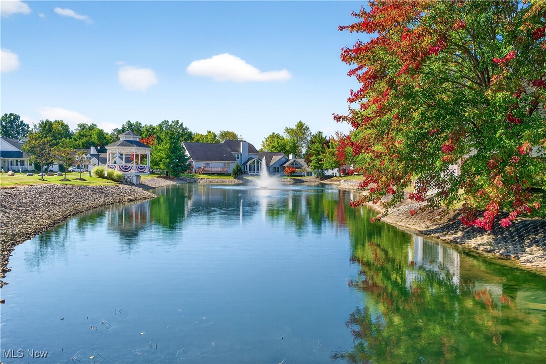 Swan Lake - Residential