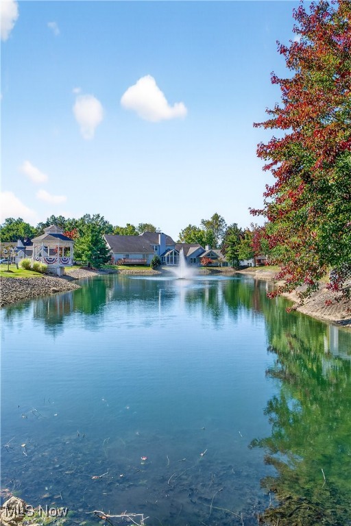 Swan Lake - Residential