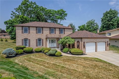 Single Family Residence in Seven Hills OH 4450 Perry Circle.jpg