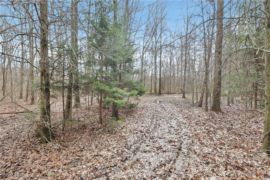 1133 Shearer Road, Galion, Ohio image 26