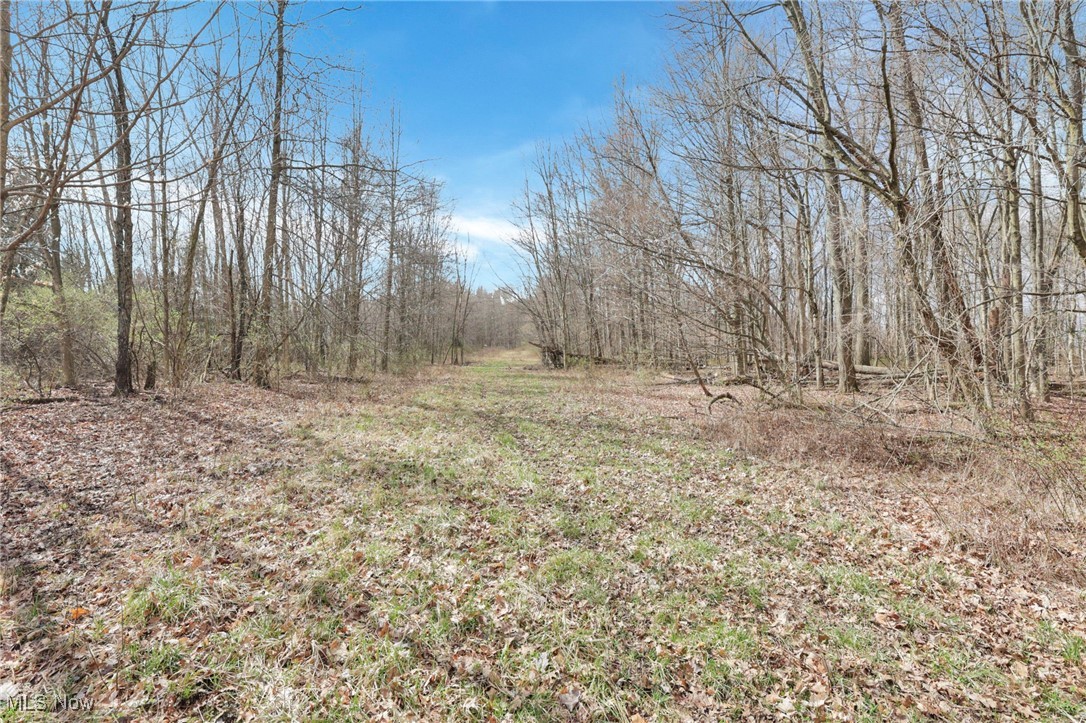 1133 Shearer Road, Galion, Ohio image 25