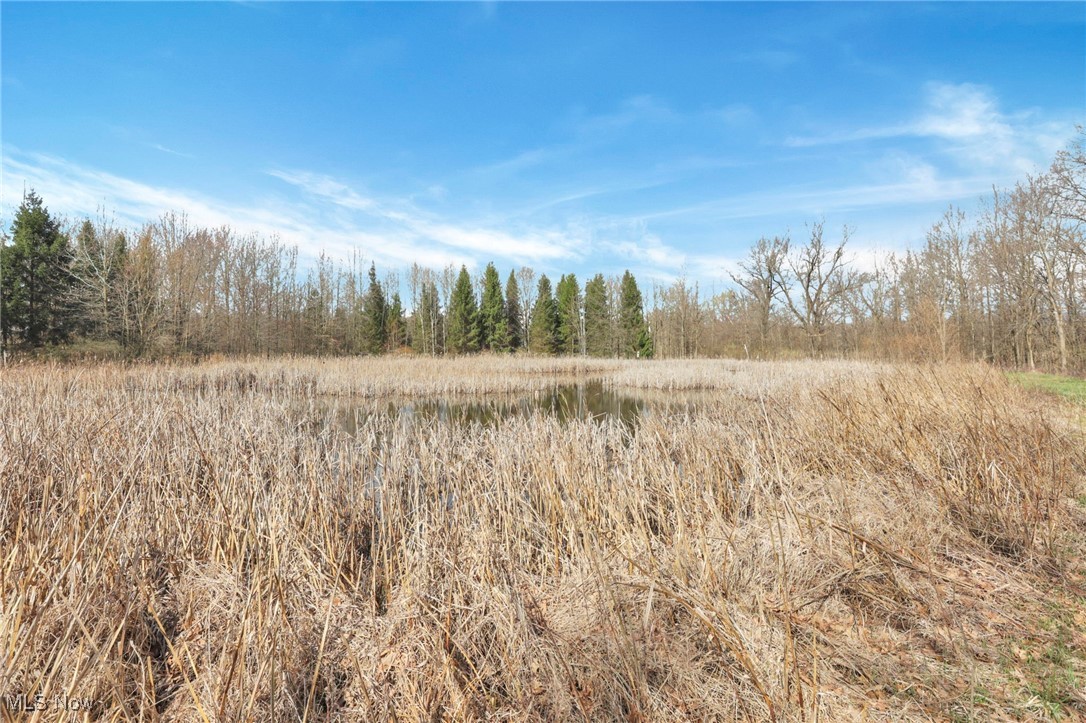 1133 Shearer Road, Galion, Ohio image 18