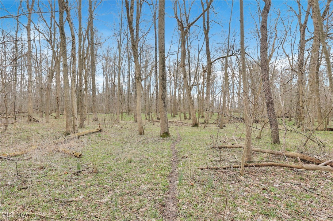 1133 Shearer Road, Galion, Ohio image 30