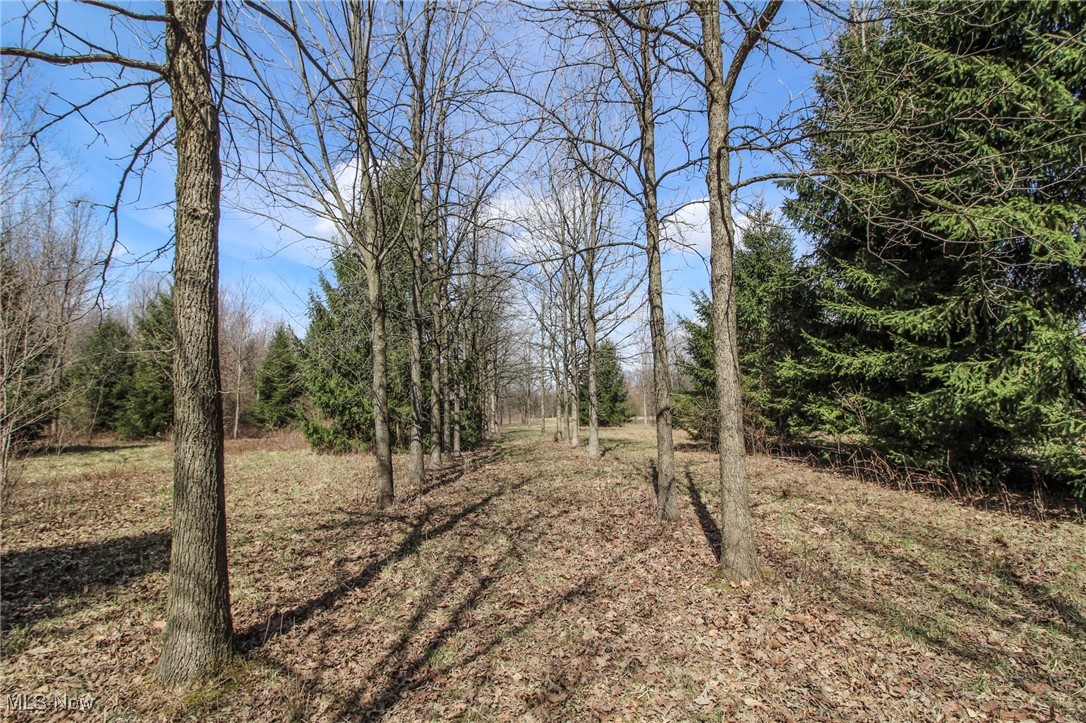 1133 Shearer Road, Galion, Ohio image 28