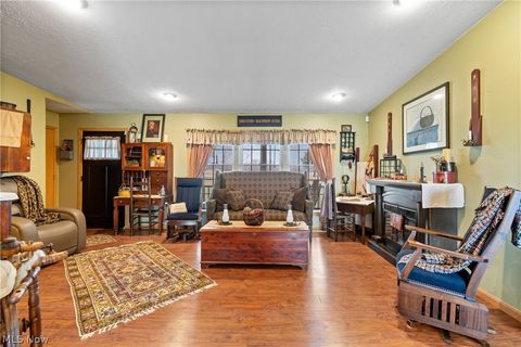 Tiny photo for 317 County Road 40, Sullivan, OH 44880 (MLS # 5188130)