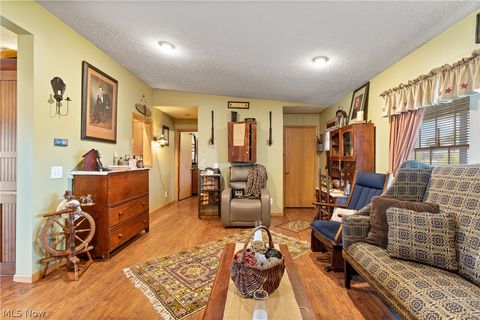 Tiny photo for 317 County Road 40, Sullivan, OH 44880 (MLS # 5188130)