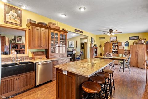 Tiny photo for 317 County Road 40, Sullivan, OH 44880 (MLS # 5188130)