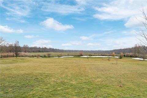 Tiny photo for 317 County Road 40, Sullivan, OH 44880 (MLS # 5188130)