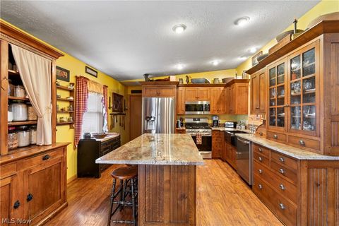 Tiny photo for 317 County Road 40, Sullivan, OH 44880 (MLS # 5188130)