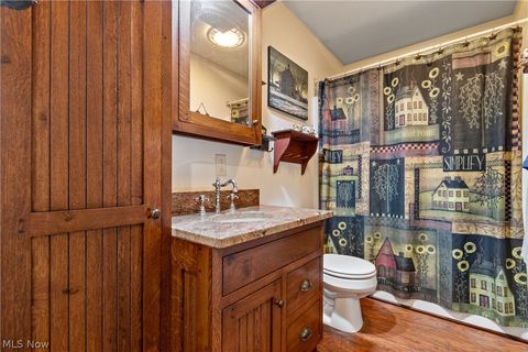 Tiny photo for 317 County Road 40, Sullivan, OH 44880 (MLS # 5188130)