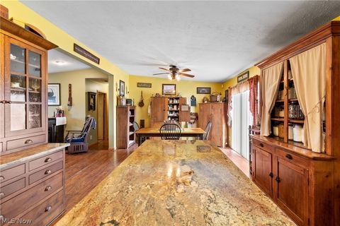 Tiny photo for 317 County Road 40, Sullivan, OH 44880 (MLS # 5188130)