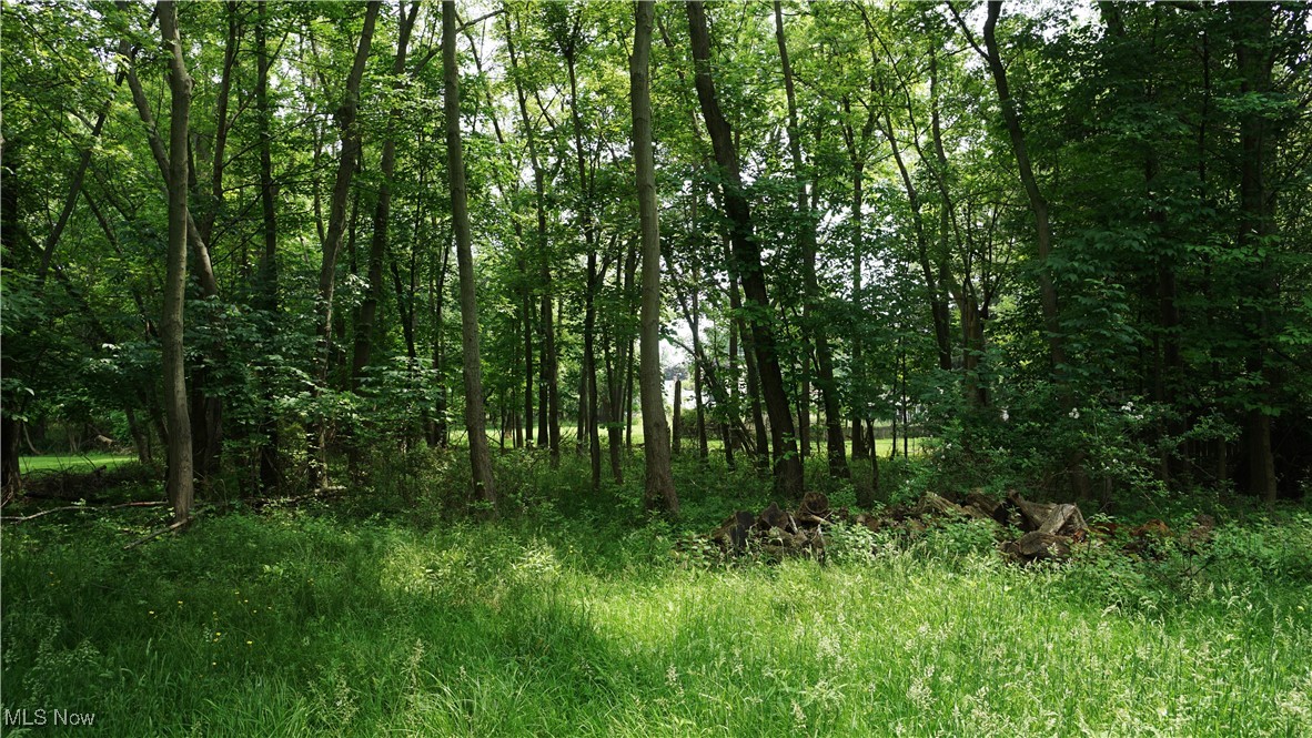 Summit Farm Acres - Land
