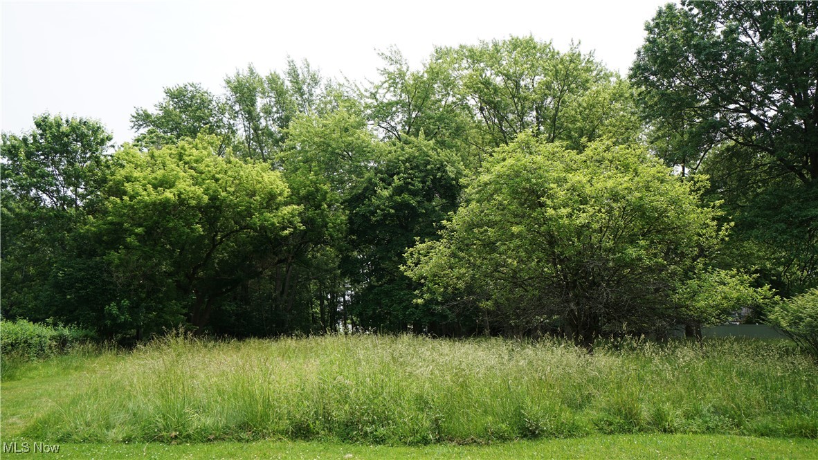 Summit Farm Acres - Land
