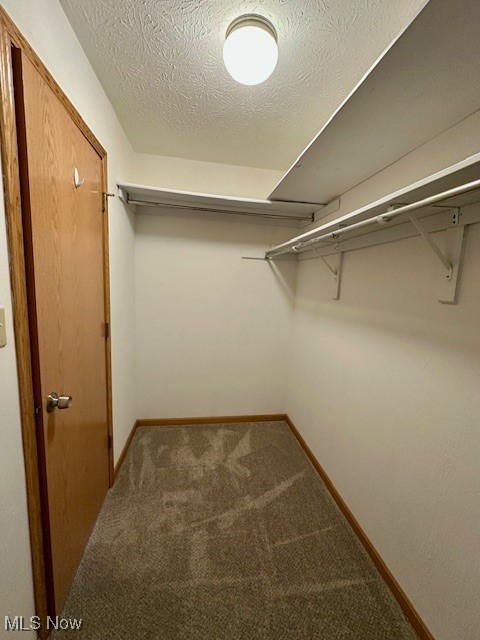 Bermont Manor - Residential Lease