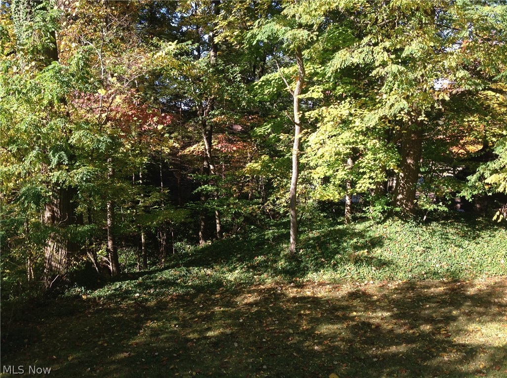 Monticello Estates - Residential