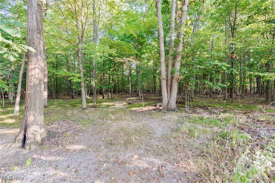 Highland Heights Condo - Residential