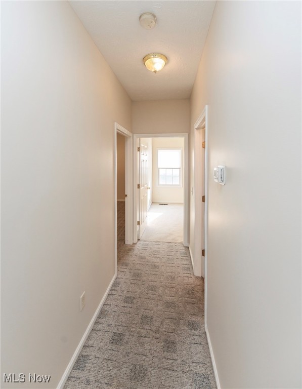 Highland Heights Condo - Residential