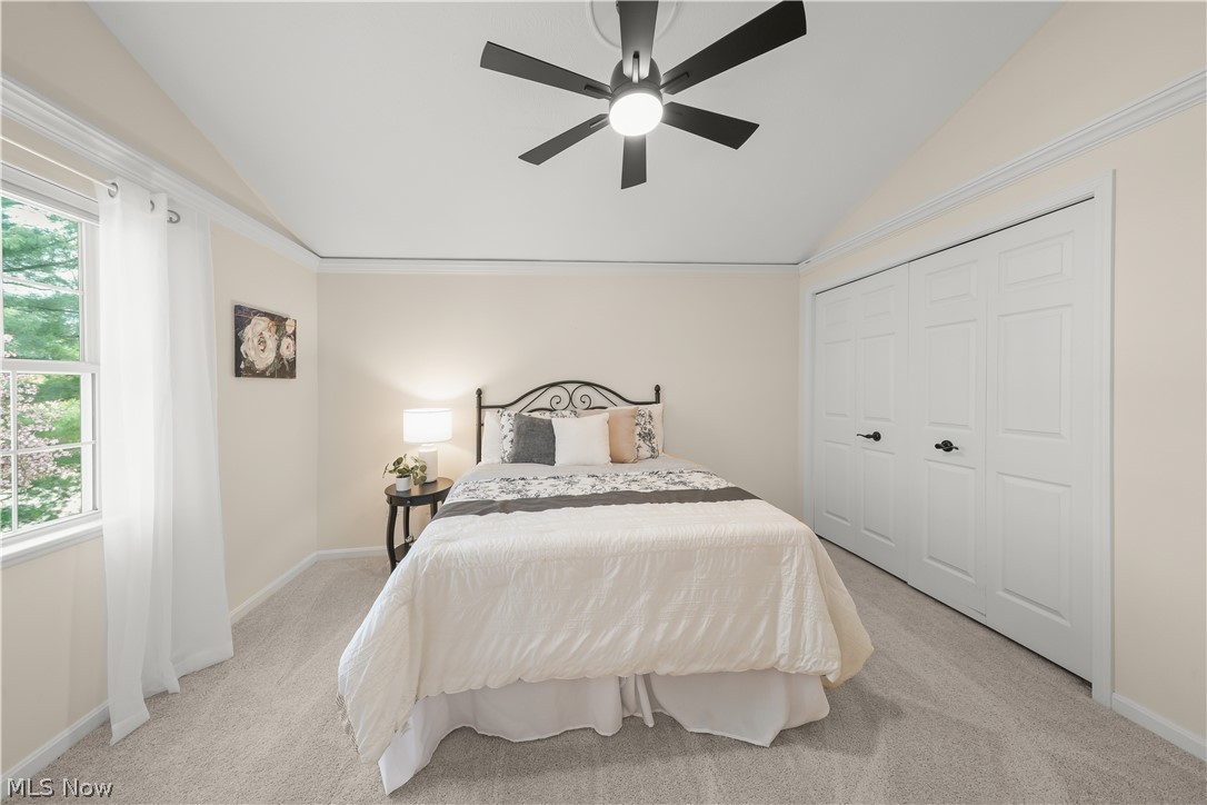 Hawthorn - Residential