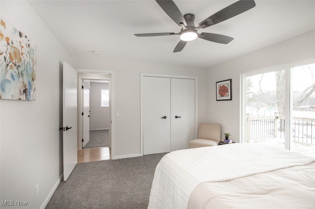 Bedford Park - Residential