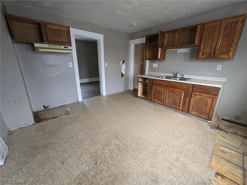 Tiny photo for 15831 Trafalgar Avenue, Cleveland, OH 44110 (MLS # 5188178)