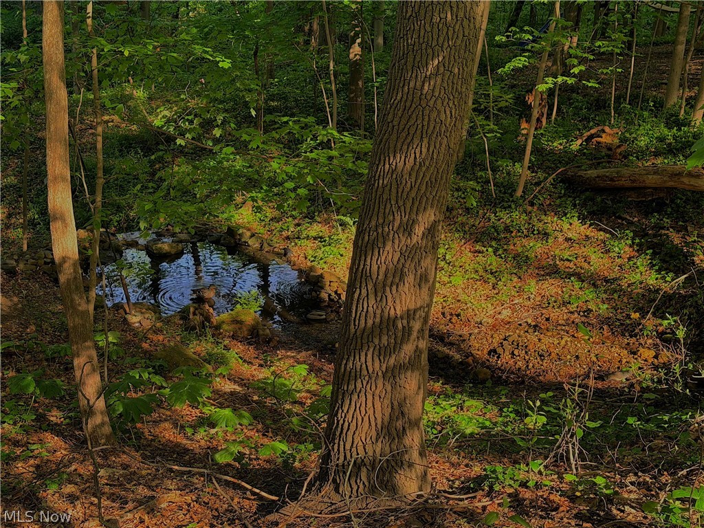 Ridgewood Acres - Residential