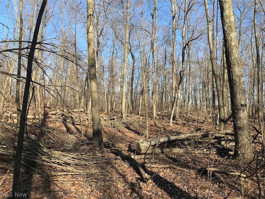 United States Military Lands - Land