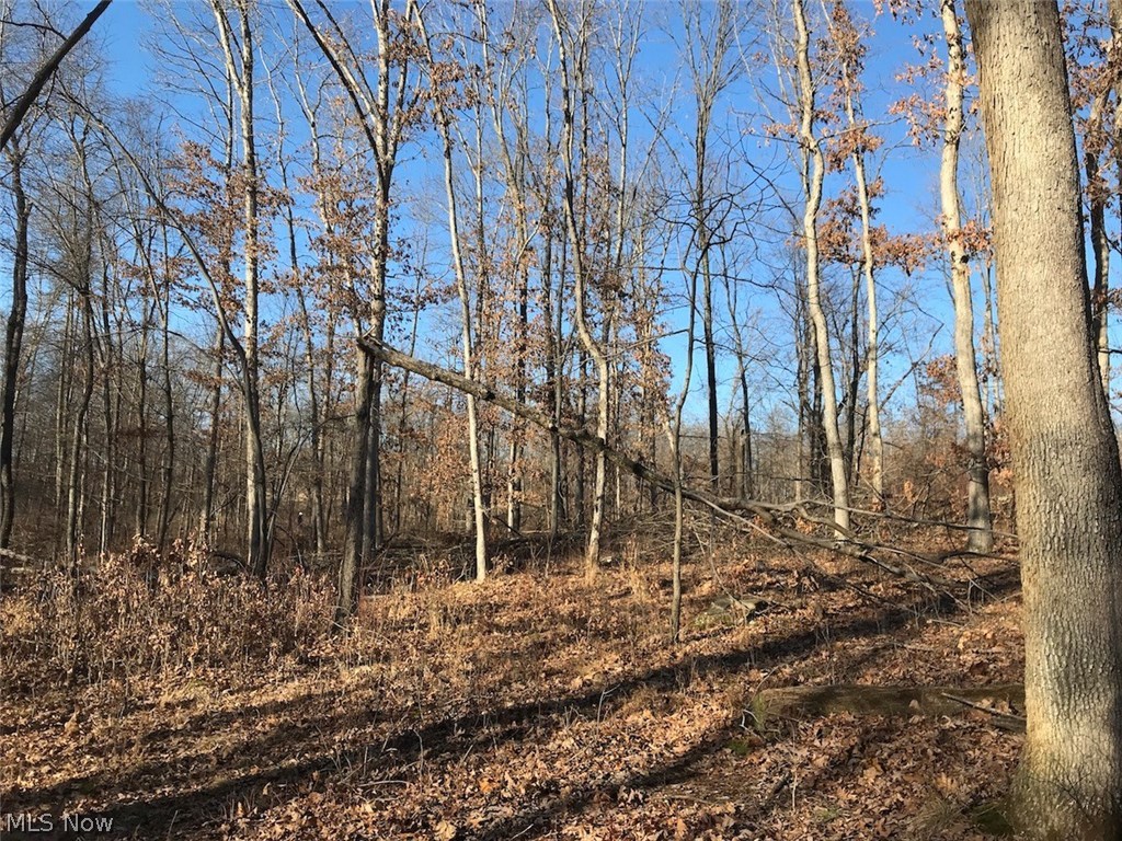 United States Military Lands - Land