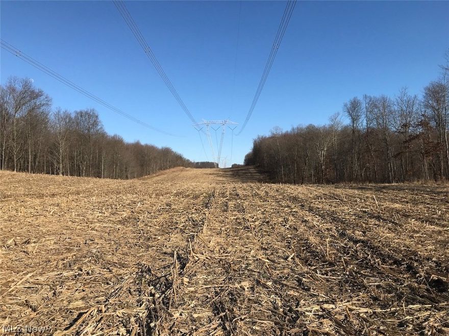 65 acres for sale in Licking County, Ohio. What's better than having a giant food plot in the middle of your property. This past year the powerline was planted in corn making it a huge draw for wildlife. Plus being in Ohio's number one trophy deer county makes it a property worth taking a look at. Just in time to start getting ready for next years hunting season and to build your home or cabin.