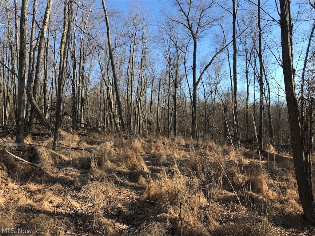 United States Military Lands - Land