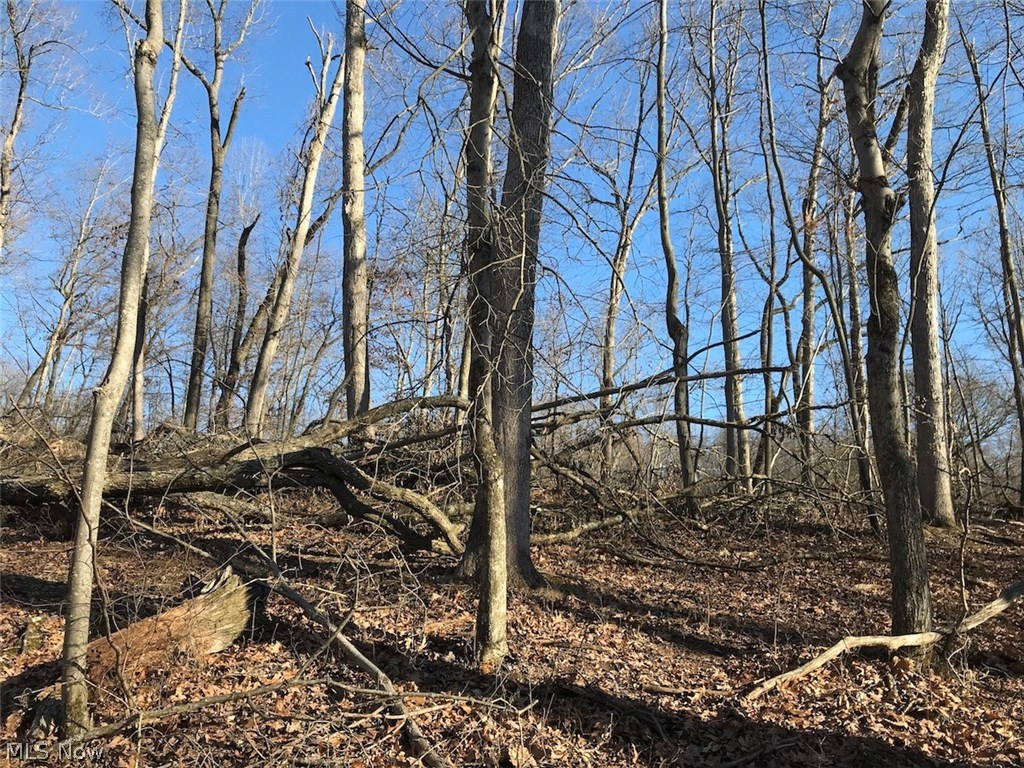 United States Military Lands - Land