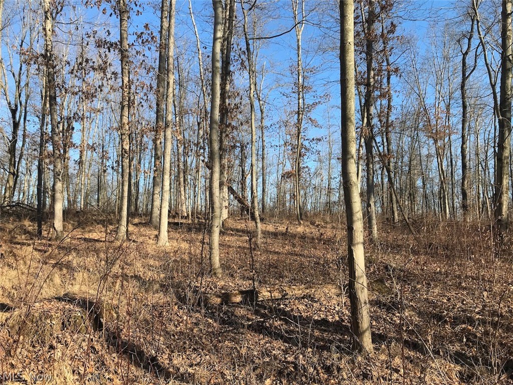 United States Military Lands - Land