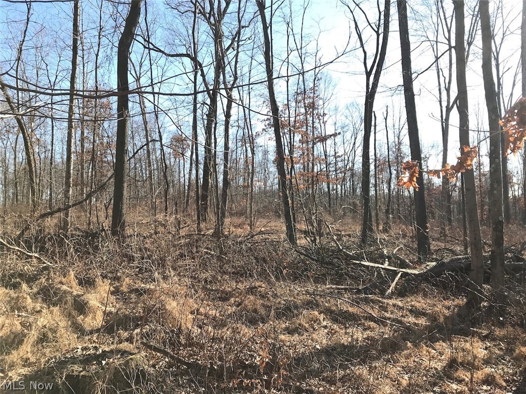 United States Military Lands - Land