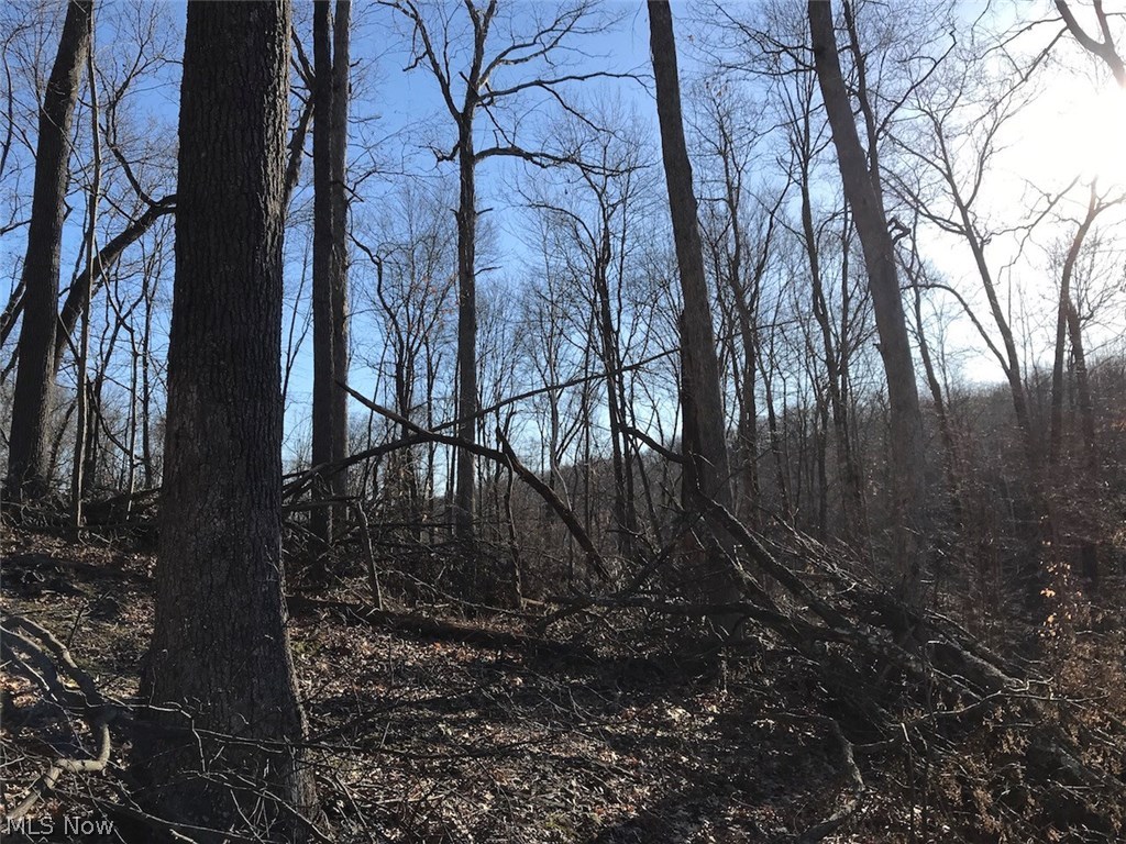 United States Military Lands - Land